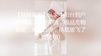 【妖精霍霍】从家中阳台到户外野战，还要车震，极品尤物御姐，美乳白虎，彻底放飞了自我 (8)