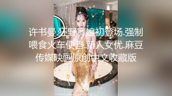 时尚惊艳美艳人妖性感情趣内衣惟妙惟俏坐在秋千上露出JJ口交后入上位啪啪