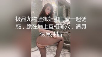 《极品御姐㊙️究极泄密》露脸才是王道！高颜气质网红女神【禧阿妹】私拍，表里不一极度反差，情趣紫薇3P肛交被炮友各种干 (11)