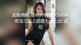 起點傳媒 性視界傳媒 XSJ094 奇淫三國之趙雲七進七出 波尼