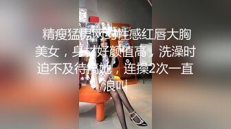 【福利版】真实对话 外卖小哥被拦在楼道里 大屌吓了他一跳 最终说服他和我进屋