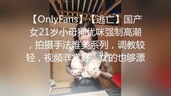 LJ极品地铁高清CD系列20部合集 (17)