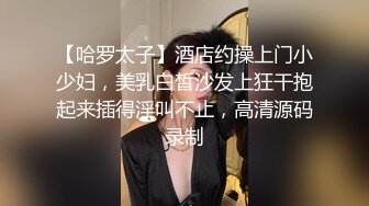 【哈罗太子】酒店约操上门小少妇，美乳白皙沙发上狂干抱起来插得淫叫不止，高清源码录制