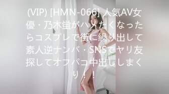 (VIP) [HMN-066] 人気AV女優・乃木蛍がハメたくなったらコスプレで街に繰り出して素人逆ナンパ・SNSでヤリ友探してオフパコ中出ししまくり！！