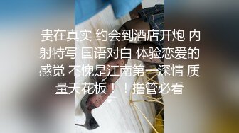 舔狗的逆袭，黑丝学姐主动投怀送抱--婉婷