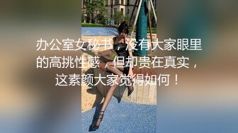 办公室女秘书，没有大家眼里的高挑性感，但却贵在真实，这素颜大家觉得如何！