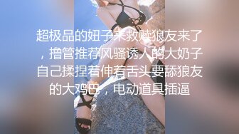 麻豆传媒-女神恋爱巴士 淫乱巴士的性爱惩处 麻豆女神苏清歌 上集