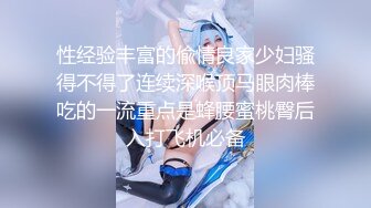 济南灰丝夫妻