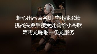 养狗继续