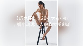 探花精选 专约熟女系列(18)