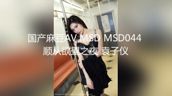 国产麻豆AV MSD MSD044 顺从欲望之夜 袁子仪