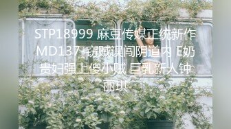 STP18999 麻豆传媒正统新作MD137-窃贼误闯阴道内 E奶贵妇强上傻小贼 巨乳新人钟丽琪