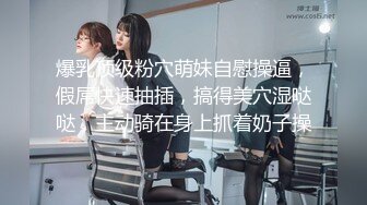 麻豆传媒 rs-030 穴深人静万赖具鸡 寂静挑战 性爱篇-艾熙