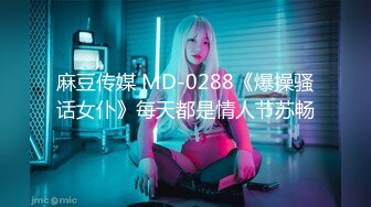 麻豆传媒 MD-0288《爆操骚话女仆》每天都是情人节苏畅