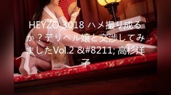 HEYZO 3018 ハメ撮り成るか？デリヘル嬢と交渉してみましたVol.2 &#8211; 高杉洋子