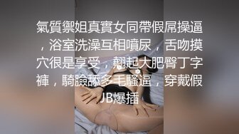   粉红色奶头顶级美乳小妞，身材一级棒，腰细胸大美腿，开档黑丝骑乘操逼