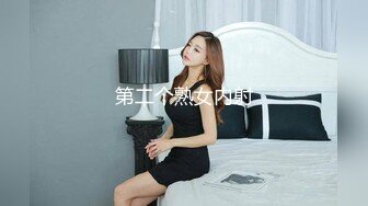 价值2500精品，秀人波霸女神【朱可儿】会员定制，和外卖员的激情故事1-2部，珍珠内裤狐狸尾跳蛋，淫声浪语 (2)