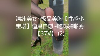 清纯美女~极品美胸【性感小宝塔】道具自慰~吃鸡啪啪秀【37V】 (2)