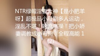 广东惠州大奶少妇