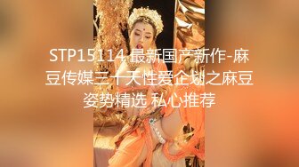 STP15114 最新国产新作-麻豆传媒三十天性爱企划之麻豆姿势精选 私心推荐