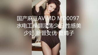 国产麻豆AV MD MD0097 水电工操翻淫荡少妇 性感美少妇 新晋女优 夏晴子